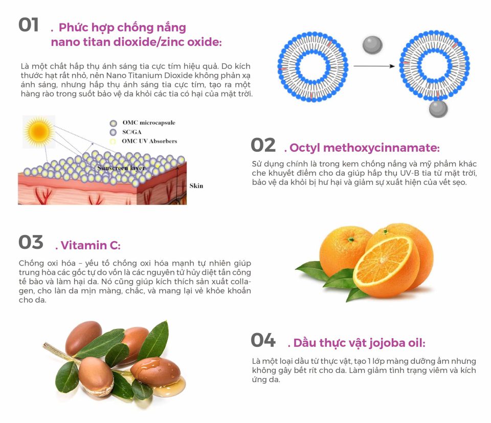thanh-phan-chinh-kem-bb-cream-gia-cong-tai-zencos