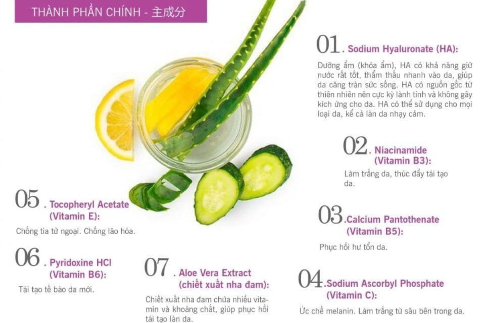 thanh-phan-chinh