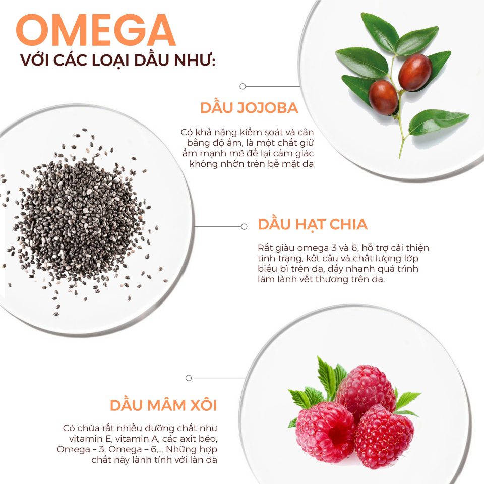 thanh-phan-chinh-trong-body-oil