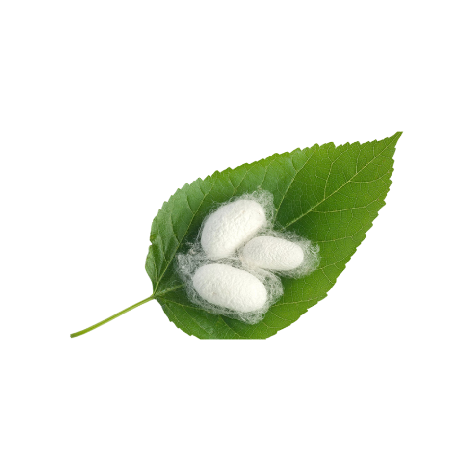 Sericin-ken-to-tam-sieu-muot