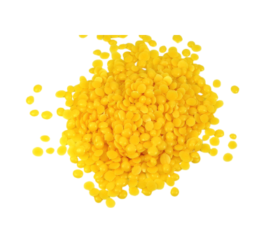 sap-candelilla