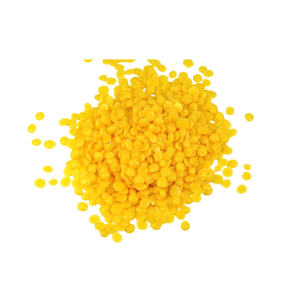 sap-candelilla
