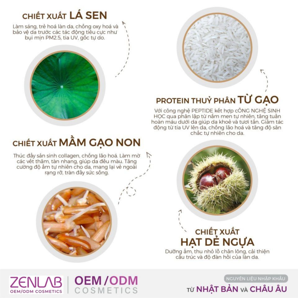thanh-phan-chinh-trong-sen-thanh
