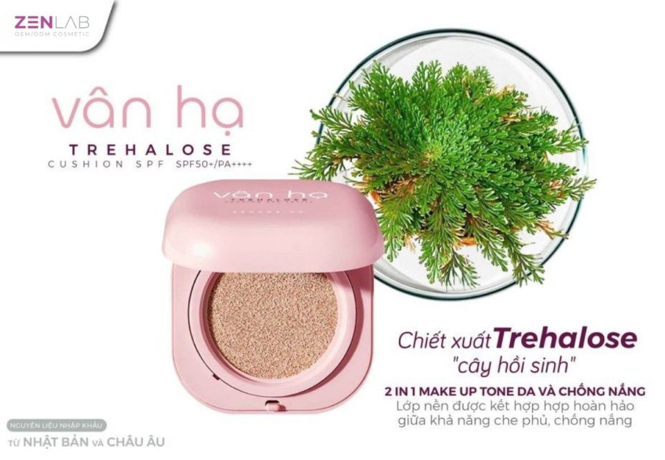 gia-cong-cushion
