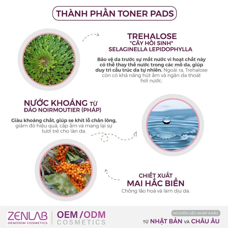 thanh-phan-chinh-trong-toner-pad-gia-cong-tai-zencos